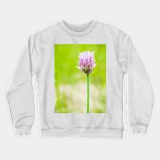 Chives Crewneck Sweatshirt